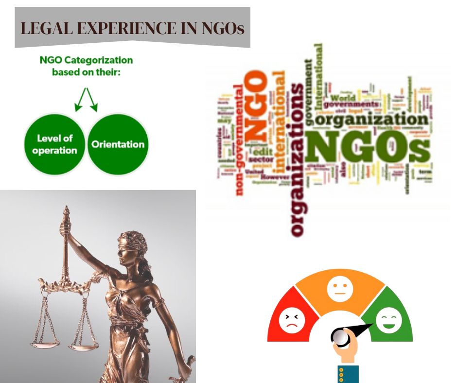 How to optimise your legal experience in non-government organisations?