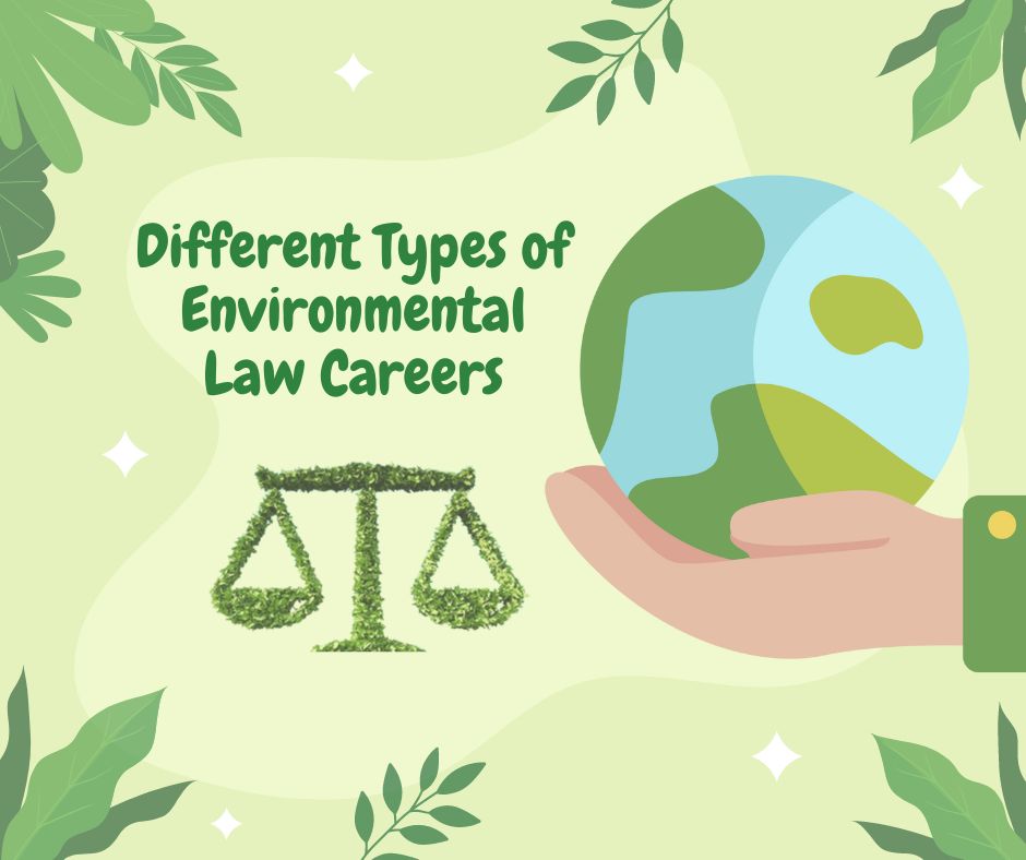  Different Types of Environmental Law Careers You Can Go For