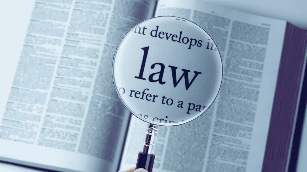 What should be the future of IT laws in India?