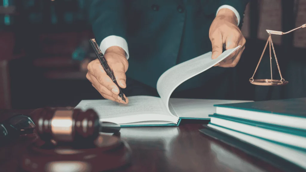 What does a Criminal Lawyer do?